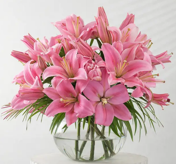 Serene Lily Garden for Mother