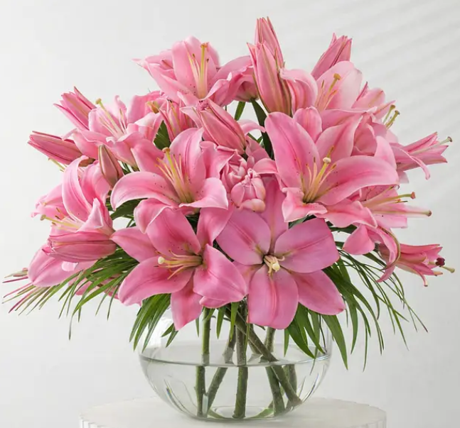 Serene Lily Garden for Mother