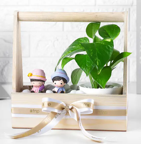 Wooden Tray with Money Plant and Mini Figures
