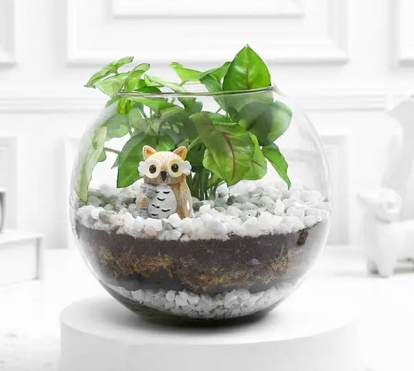 Terrarium with Mini Owl