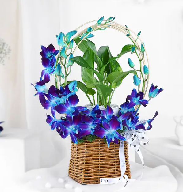 Blue Orchid Decorative Basket Arrangement